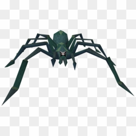 Transparent Spider Png - Giant Spider Png, Png Download - giant spider png