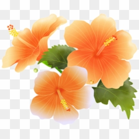 Transparent Hawaiian Frame Png - Clipart Orange Flowers Border, Png Download - hawaiian frame png