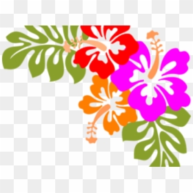 Transparent Continental Breakfast Clipart - Hibiscus Clip Art, HD Png Download - hawaiian frame png