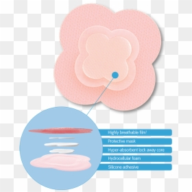 Wound, Allevyn Life Foam Dressings Smith Nephew Professional - Allevyn Life, HD Png Download - stab wound png