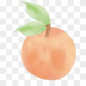 Transparent Peach Png Tumblr - Apple, Png Download - peach png tumblr