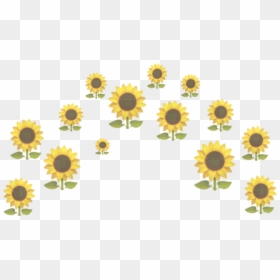 #sunflower #little #flower #sun #funny #tumblr #yellow - Png Girassol, Transparent Png - tumblr yellow png