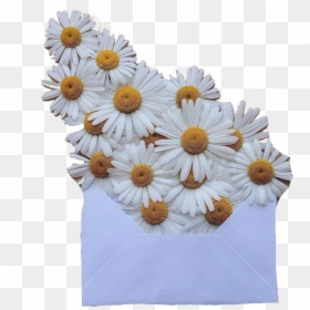 Transparent White Envelope Png - Aesthetic Moodboard Filler Png, Png Download - blue aesthetic png