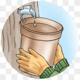 Transparent Maple Syrup Png - Sap Clipart, Png Download - bucket clipart png