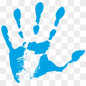 Grasp Certificazione Logo, HD Png Download - bandera de ecuador png