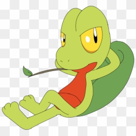Cartoon, HD Png Download - treecko png