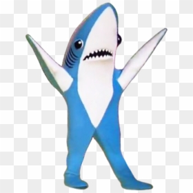 Super Bowl Xlix Super Bowl Li Halftime Show Shark Fish - Shark Super Bowl Png, Transparent Png - cute shark png