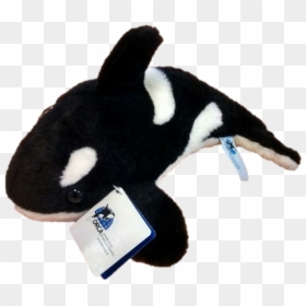 Stuffed Toy, HD Png Download - cute shark png