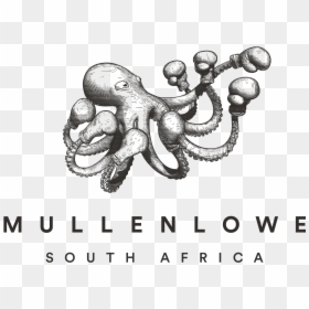 Transparent South Africa Png - Mullen Lowe, Png Download - south africa png