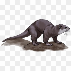 Mongoose Clipart Otter - Otter Clipart Png, Transparent Png - mongoose png