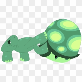 Tank The Tortoise Rainbow Dash Shell, HD Png Download - tank shell png