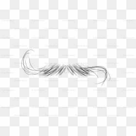 Diagram, HD Png Download - handlebar moustache png