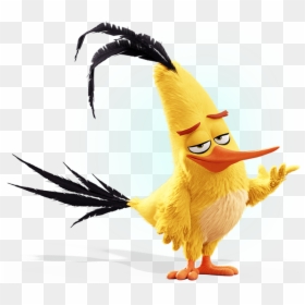 Angry Birds Evolution Chuck, HD Png Download - bird gif png