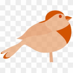 Robin Bird Silhouette - Bird Clip Art, HD Png Download - bird gif png
