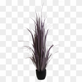 Transparent White Grass Png - Grass, Png Download - black grass png