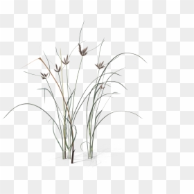Sketch, HD Png Download - black grass png