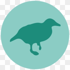 Weka Icon Png, Transparent Png - model icon png