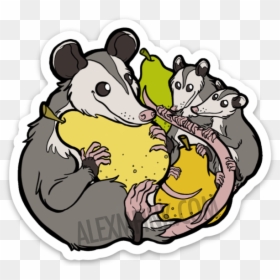 Opossum Family With Pears - Cartoon, HD Png Download - rat fink png