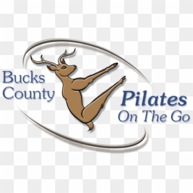 Logo - Elk, HD Png Download - bucks png