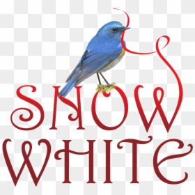 Thumb Image - Mountain Bluebird, HD Png Download - snow white logo png