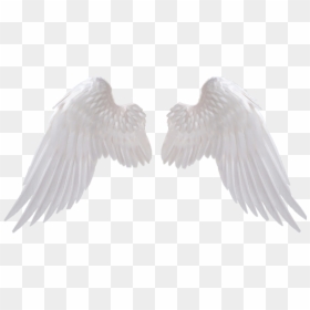 Transparent Angel Icon Png - High Resolution Angel Wings Png, Png Download - angel icon png