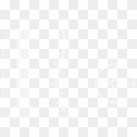 Slinky Tech-specs - Johns Hopkins White Logo, HD Png Download - slinky png