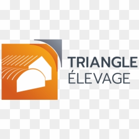Le Triangle Elevage, HD Png Download - 80s triangle png