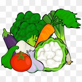 Lots Of Vegetables, HD Png Download - vegetables clipart png