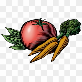 Transparent Carrot Clipart Png - Farmers Market Images Clip Art, Png Download - vegetables clipart png