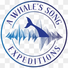 Transparent Whales Png - Foundation Celtic Logo, Png Download - first responders png