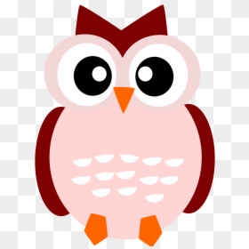 Large Size Of How To Draw A Cartoon Barn Owl On Branch - Owl Cartoon Png, Transparent Png - big bird face png