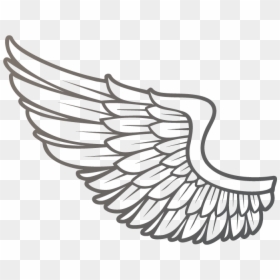 Feather Tattoo Png, Transparent Png - feather tattoo png