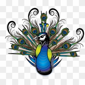 Peacock Tattoo Image Png, Transparent Png - feather tattoo png