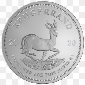 1 Oz Krugerrand 2020 Silver Coin - Silver, HD Png Download - coin vector png