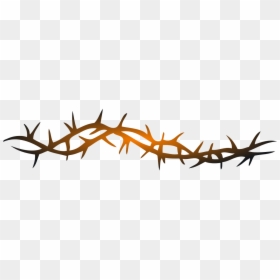 Thorn Vine Png, Transparent Png - keep out png