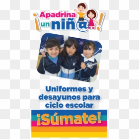 Linea Separadora Elegantes Png -de Interés - Poster, Transparent Png - linea separadora elegantes png