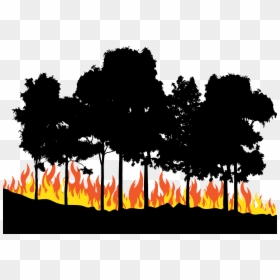 Fire Euclidean Vector - Transparent Forest Fire Clipart, HD Png Download - fire art png