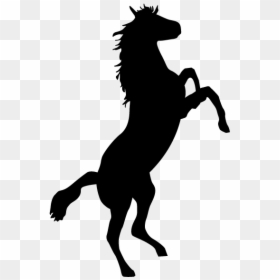 Horse Bronco Stallion Bronc Riding Clip Art - Horse Silhouette Transparent Background, HD Png Download - bronco png