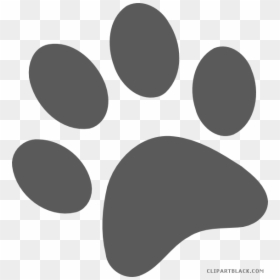 Transparent Paw Print White Png - Paw, Png Download - paw print white png