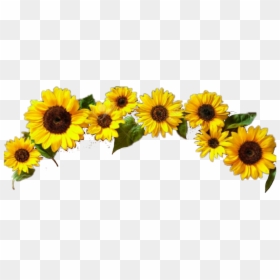 #girasol - Stickers De Girasol Picsart, HD Png Download - corona vector png