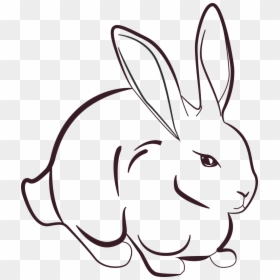 Rabbit Line Art, HD Png Download - grass drawing png