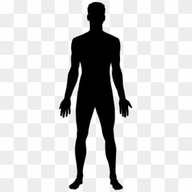 Male Clipart Male Outline - Human Clipart, HD Png Download - people outline png