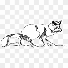 Fox Png Sketch, Transparent Png - grass drawing png
