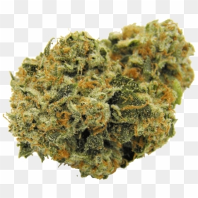 Transparent Kush Png - Kosher Kush, Png Download - kush png