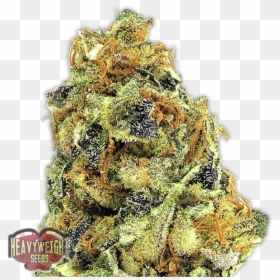 Ko-kush - Ko Kush Strain, HD Png Download - kush png