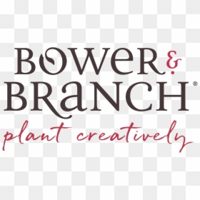 Calligraphy, HD Png Download - arborvitae png