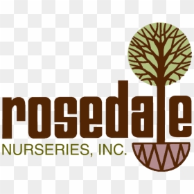 Interseroh, HD Png Download - arborvitae png