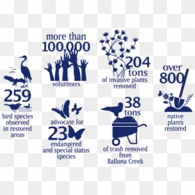 Friend’s Impact On Ballona, By The Numbers, HD Png Download - wetland plants png