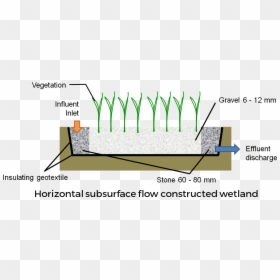 Horizontal Subsurface Flow Constructed Wetland Media, HD Png Download - wetland plants png