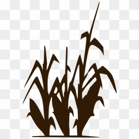 Corn Stalk Clipart Black And White, HD Png Download - corn vector png